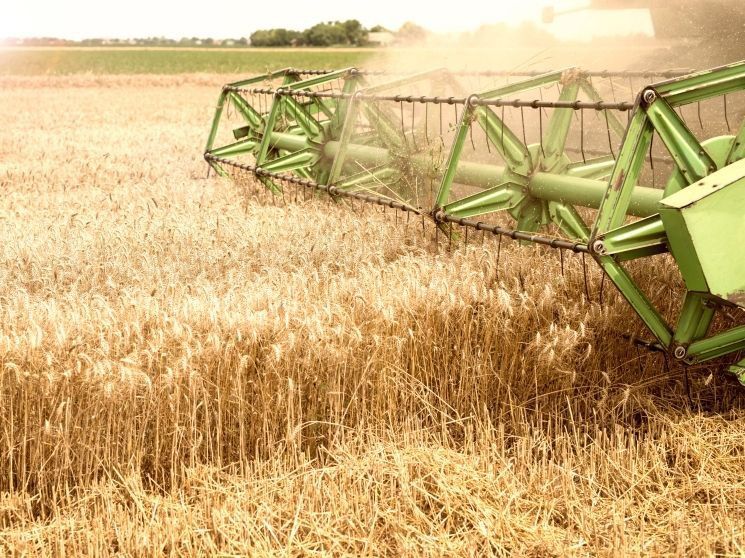 ��������� �������� ������ ������� ���������� � ���������� �������, �������������� ������ �������� � 2022 ���� �������� ����� 1,3 �������� ����, �������� � ������-����������� ������������� ���������� �������