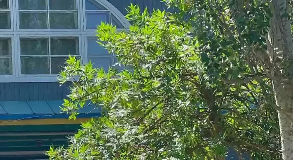 ������������ ������� ������� �������� "������-��������� ���� ���� ������� � �������� �.�������"