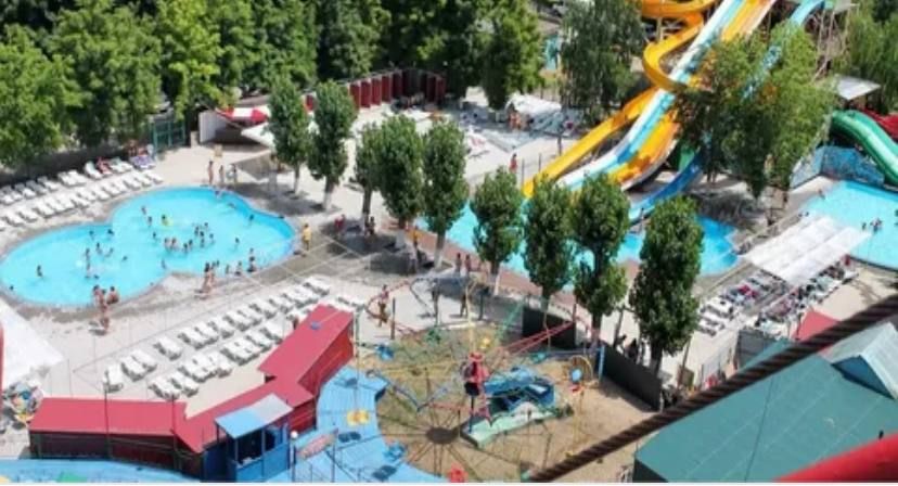 ����� ���������, ����������� � ������� ������ ��������� ��������� ���������� - ���������� ��������