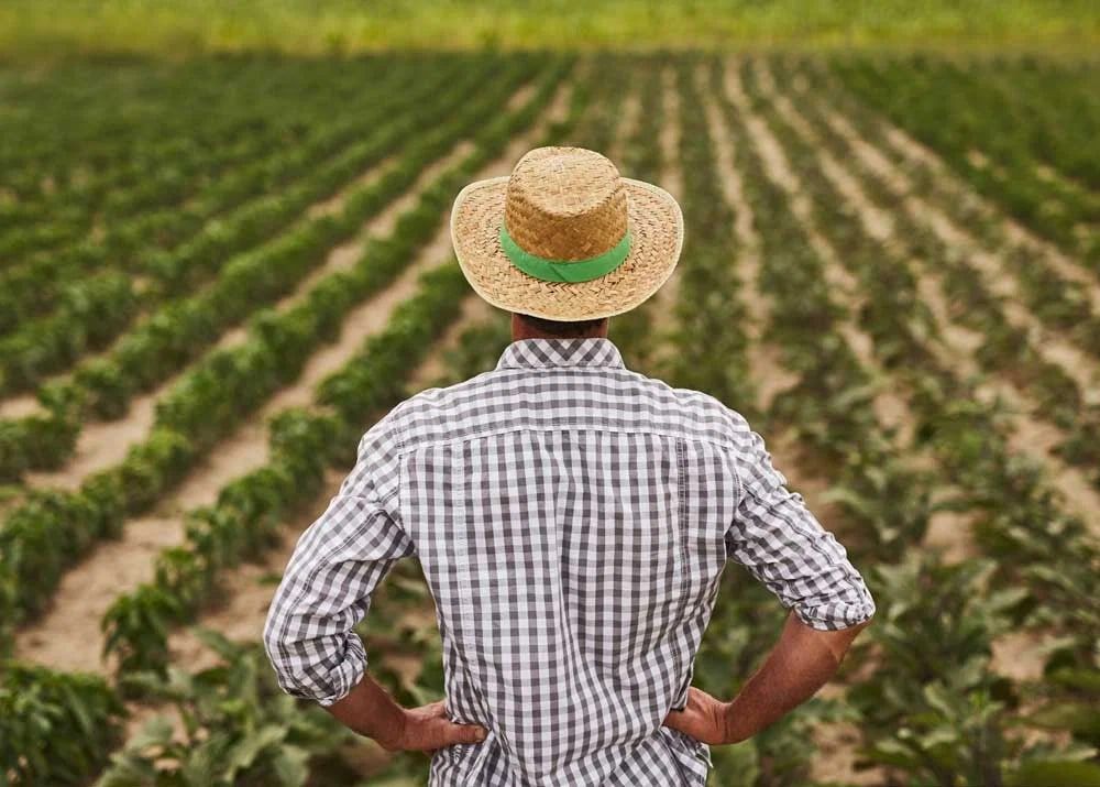 ������ ��� ����������� �������������� � ��������� ���������� � ����������� ��������