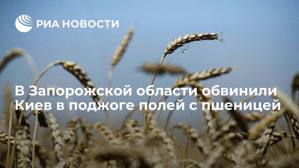 �����: � ����������� ������� �������� ���� � ������� ����� � ��������