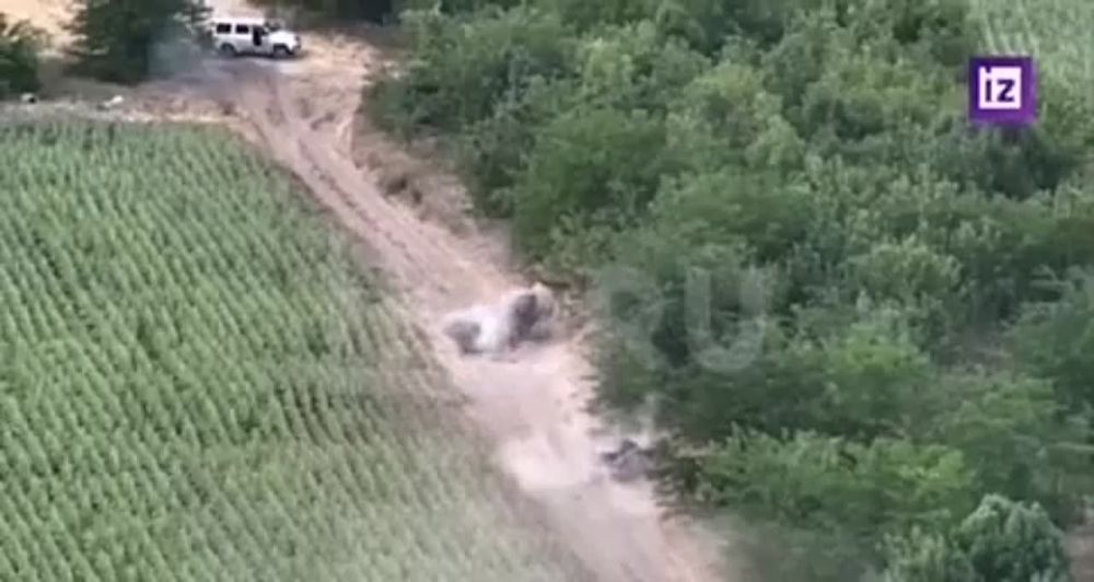 ���������� ����� ����������� ���������� ����������� � ���������� �������