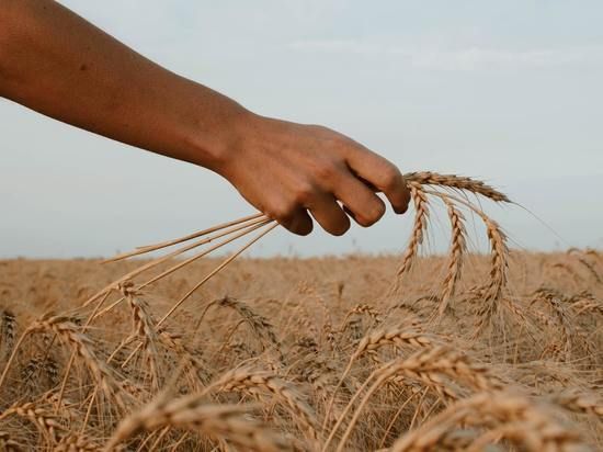 ��������� ������ �������, ������������� �� ���������� ����� ����� ��� �����