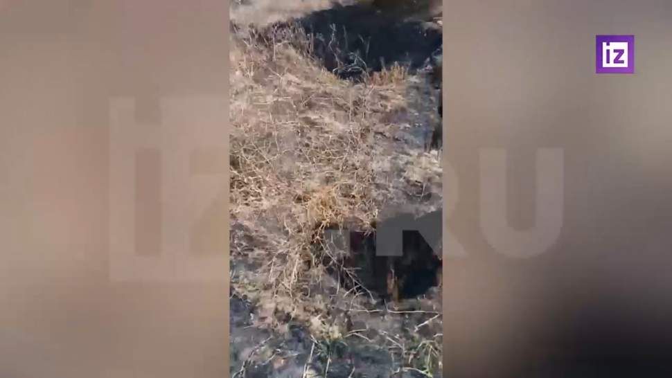 ���������� �������� ���������� ����� � ������� � ���� ��� ��������