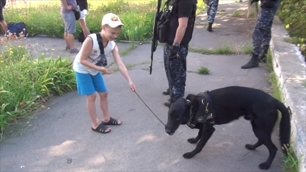 ���������� ������� ���������� ������������� ���������� ���������� - ���������� ��������������� �������� � �. ����