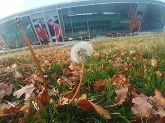 ������� �������� ����� � ������� ����� ����� ��������� �����