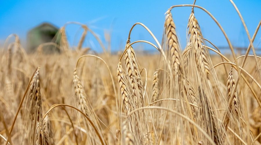 ���������� ������ ���� ��������� ��� ������� ����� �� ������� ����� ����� �����