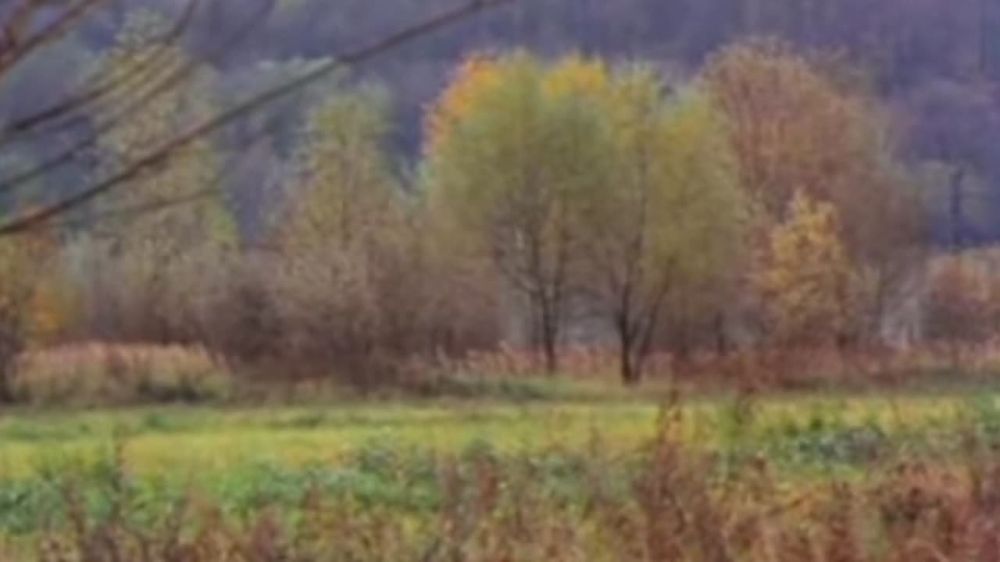 ������� ������������ �������