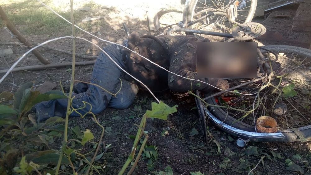 ��� ���������� ����� � ��� � ���� �������� � �������, ��������� �������, ��������� ��������������