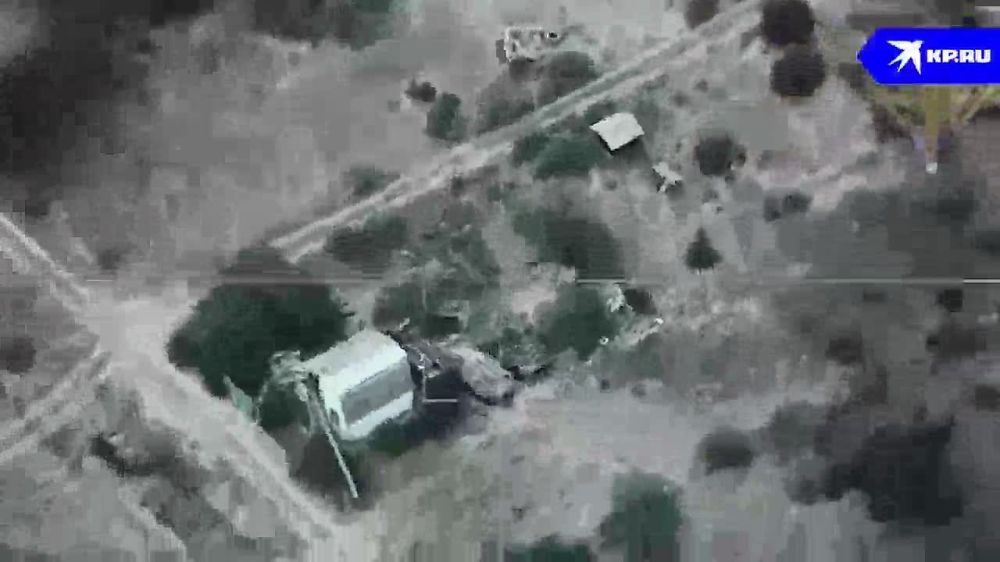 ���� 2022. ���������� �������, �������