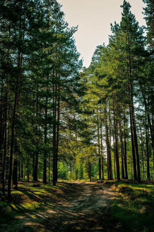 ��� ����� �������� ��������� ��������� ����������� ������� ���������