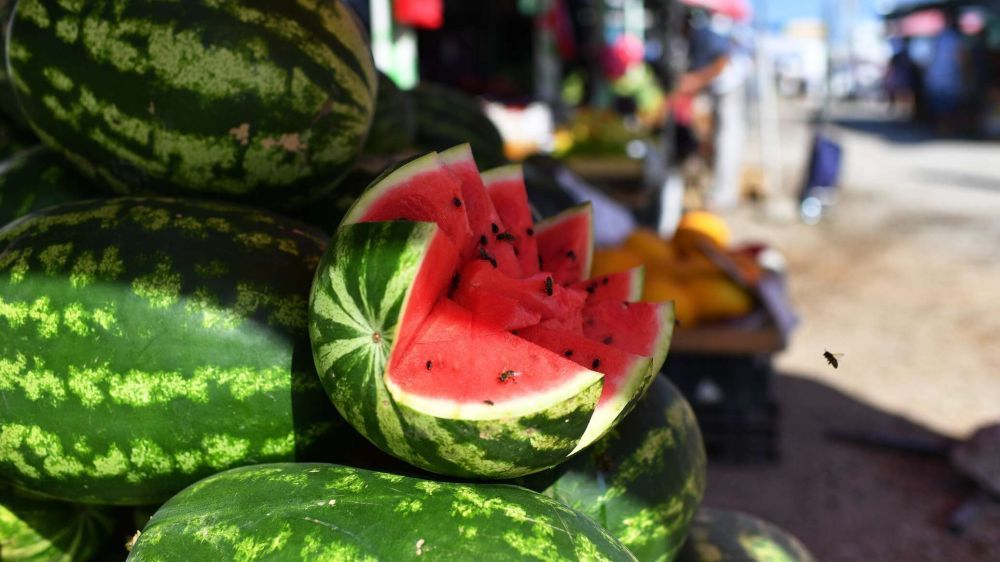 "��������� �����": ������ c ������� ���������� � ���� � ������� ��