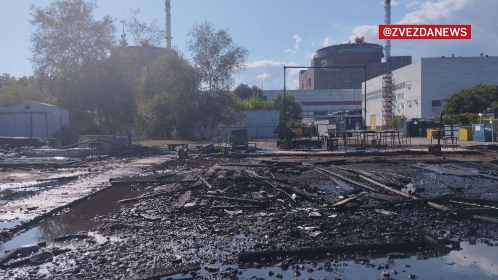 ����������� �����, ��� � ������� �������������: ��� �������� ����������� ��� ����� ����� ������-���������