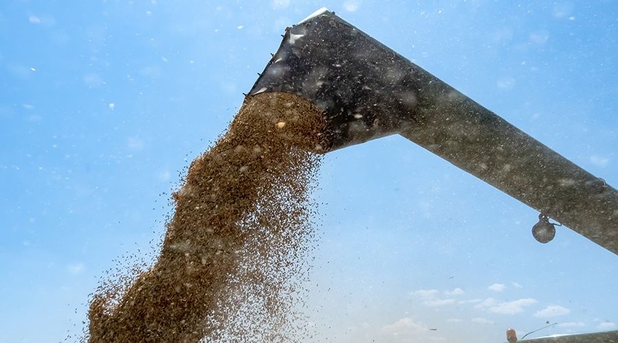 ���� �������� ���������� � ����������� �������� 85 ������ ��������������