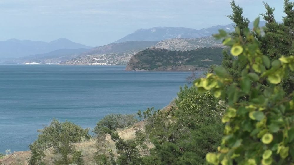 �� ���� �������� �������� ��������� ���������� �����, ������� ����� � ������ � ����������� �������