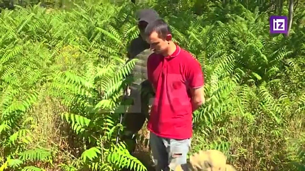 ����������� � ������� ��������� ������� ��������� ����� � �������