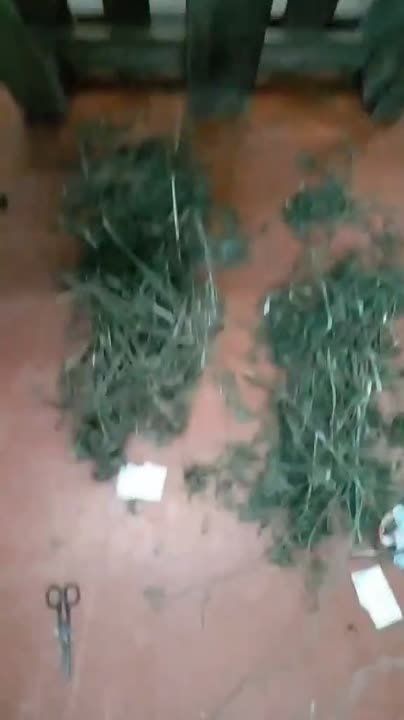 � ������������� ����� ������� ��� �� ������������ ����������