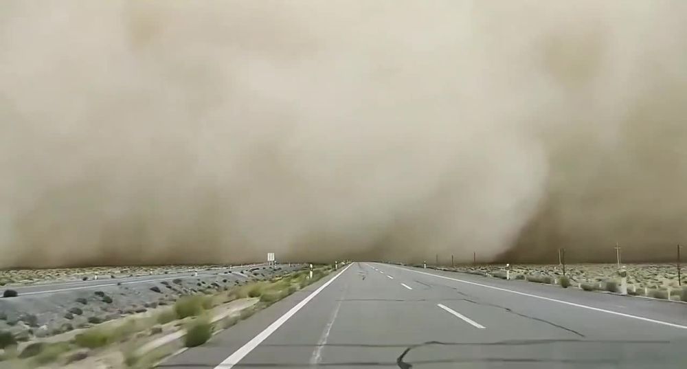 ����� ��������� ������������: ���� ������� ��������� ��������� ������