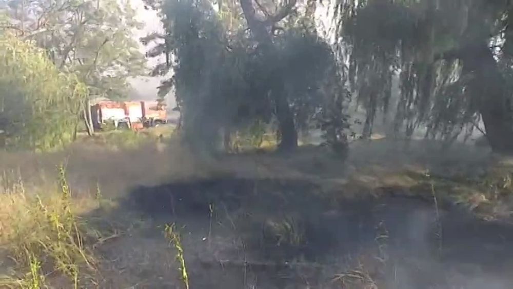 � ����������� ������� ������� (������) ����� ����� �����