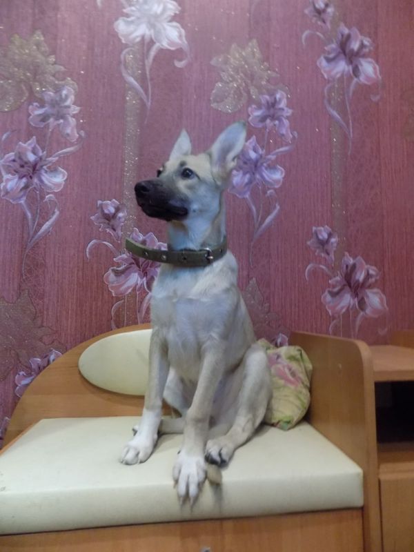 ��������� ���� ��� ������ �� ������� � ����� ����-�� ������������ ��� ��������?