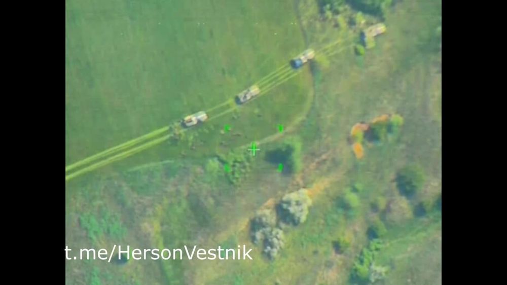 #���������. 5 �������� ��� ����������� � �������, 3 ���� ��� � ������� ���������