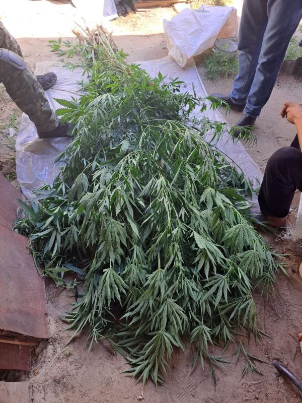 ������� � ������� ���������� ��������� �������