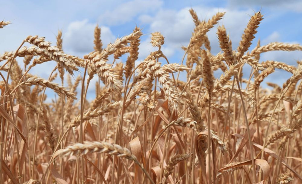 ������������� �������� �������� � ����������� ������� � ���������� �������