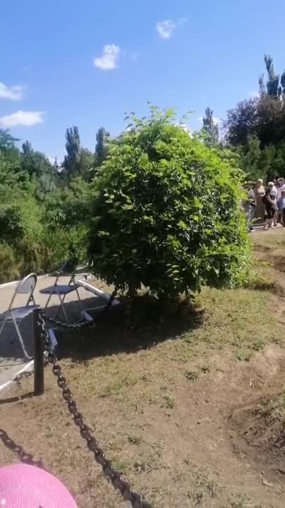 � ������������ ���� ����������� ���������������� ������������ ��������� ��������������� ����������� ������ ���������� �������� � ��������� 1788 ����