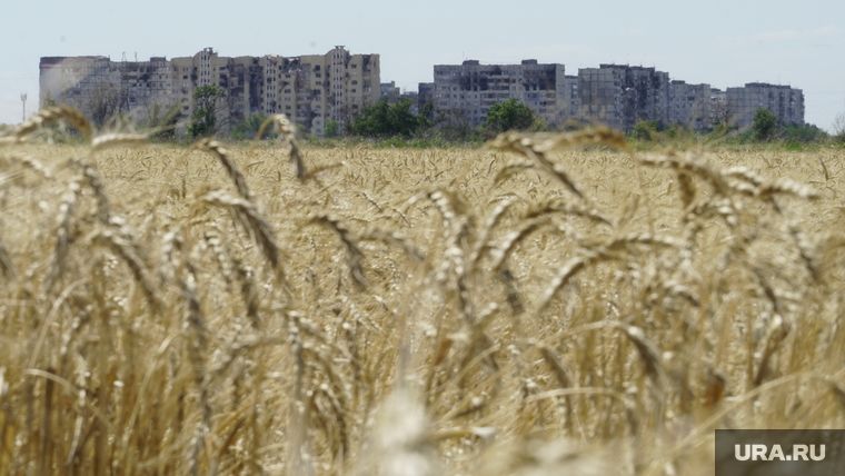 � ���������� ������� ���� ��������� � ������ ������