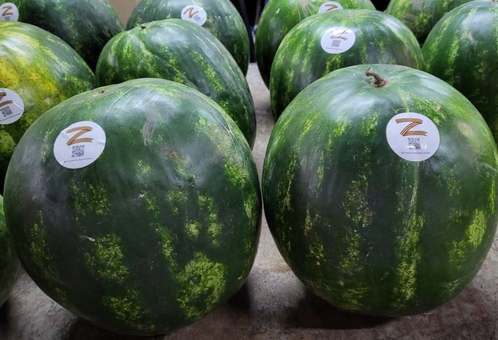 �� ������ �������������� ���� � ������� ��������� ���������� ������