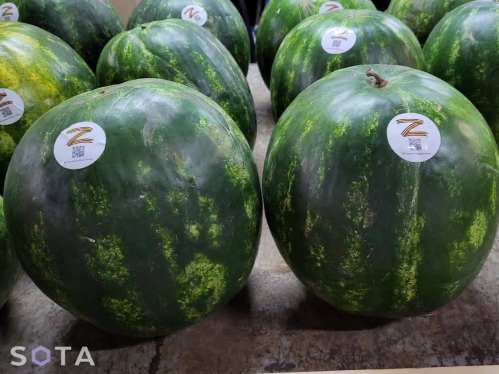 ���������. ���������� ������