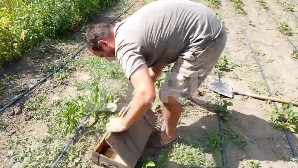 ������ ���������������� ������ ���������� ������� ������� ���������� ��������� ������ � ���������� �� ������ ���