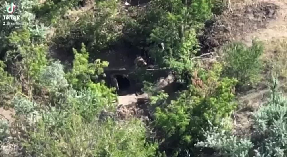 ������ ������������� � ������� � ������ ���� �� ������� ����������