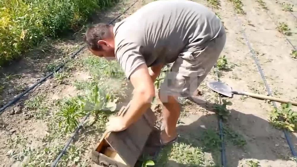 ������ ���������������� ������ ���������� ������� ������� ���������� ��������� ������ � ���������� �� ������� ���. ��� �������� ����� ������� ���������� ������������� � ������ ��� ������������