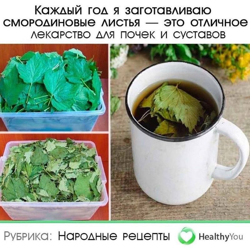 ������ ��� ������������ ������������ ������ � ��� �������� ��������� ��� ����� � ��������