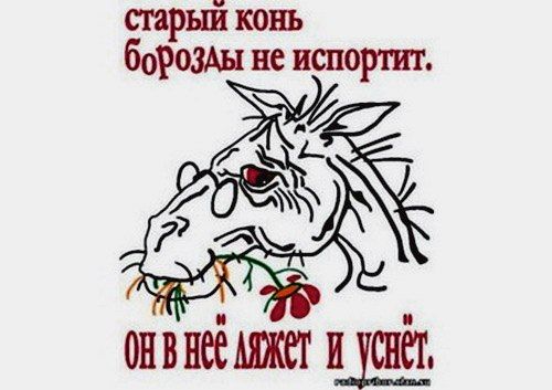 ����� ���������:. �� ������ ����� ������� 2022 ���� �� ������� ���� ���������������� 500 ����������� � ��������� ���������� �� �����������