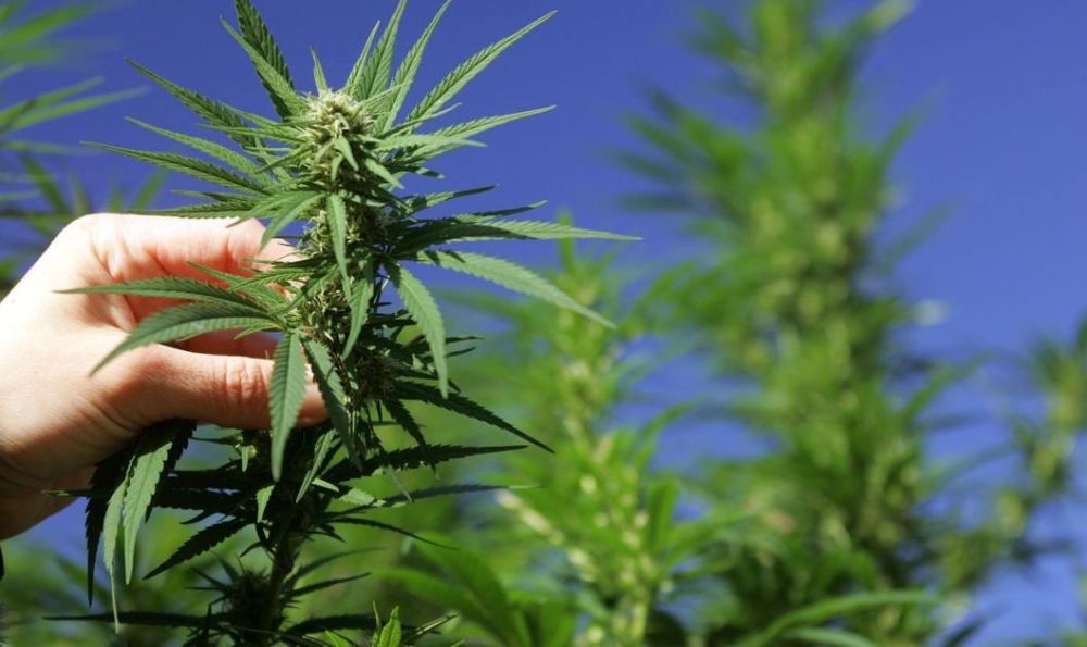 � ������������ ������� ��������� ����������� ����������