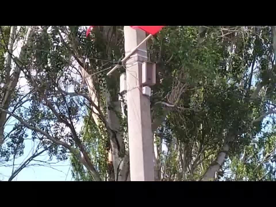 ���-��� ������ � 8.00 ����������� ��� ������, ������� ������� ����� ��������!