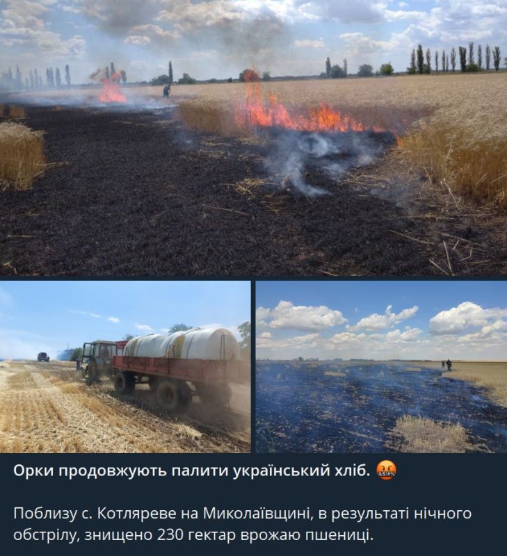 � ���� ����� �������� �������� ��������� �������� ������, ������ ��� ���, � ������ ������ �����, ��������, �� ����� �������� � ��� �� ���