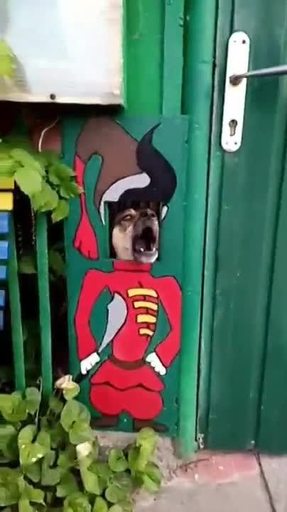 ���� �� ������������, ������ ����