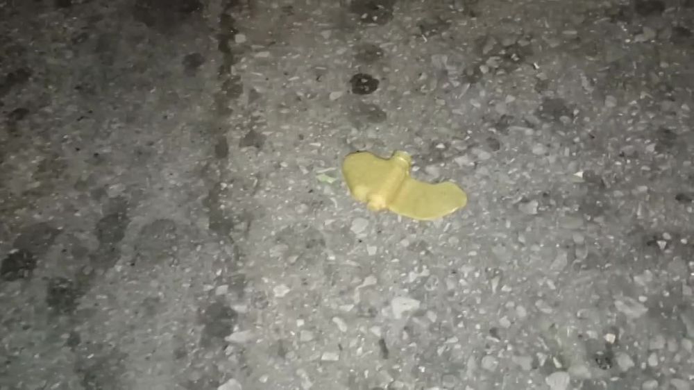 �� ������ ������� �������� ����-��������