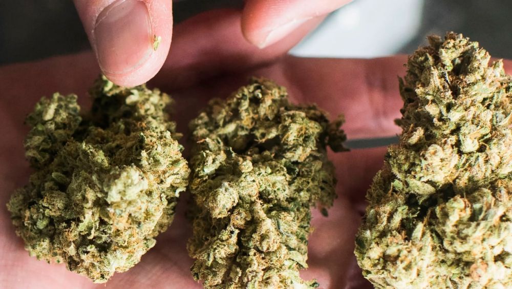 � ������������ ������ �������� ���������� ������ ���������