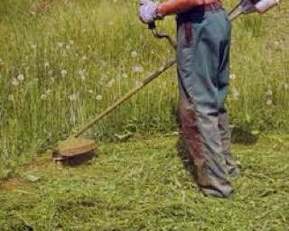 ������������ ����������� ������� ���������� � ������ �� ������� ������