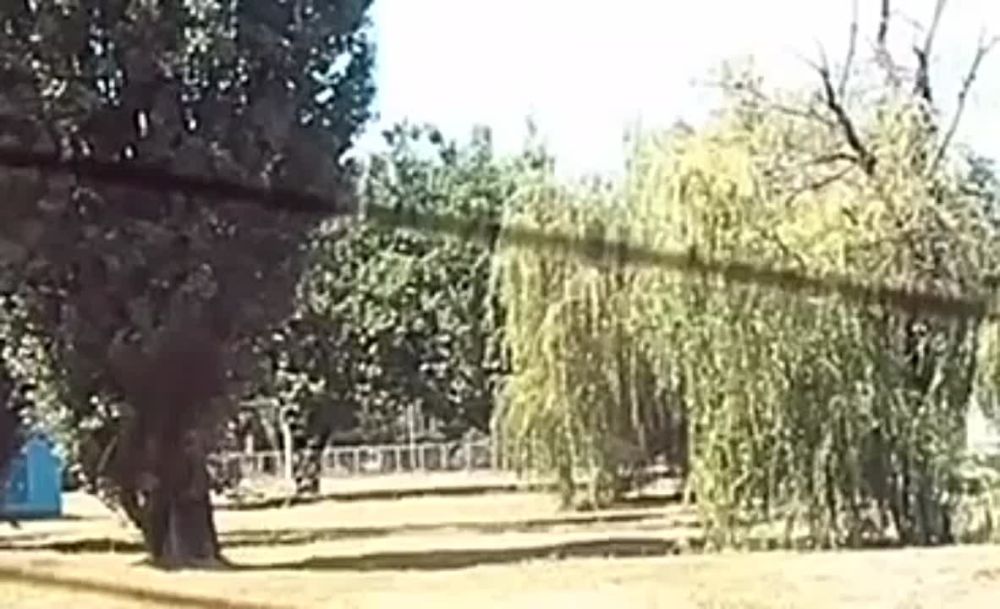 ����������� ���������� ������� �������������� ����� ������� ������ � ����������� ����������������� � ������� 27 �� ����