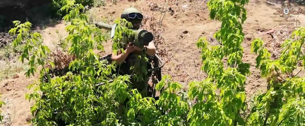 �������� ���� ����������