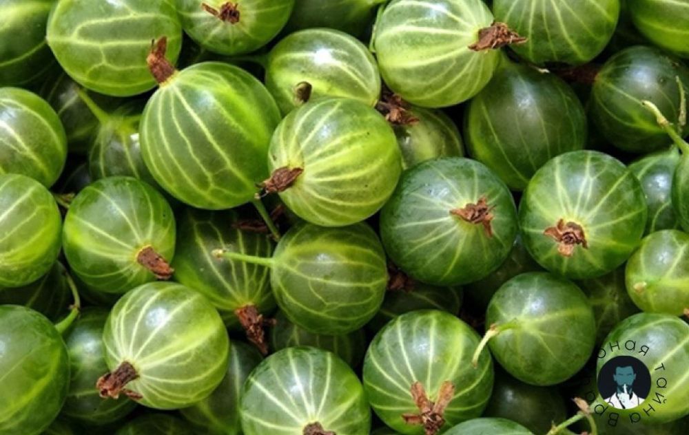 ������ ����������. ����� ���������� ��������� ���������������������, ���������� � ����������� �������� �� ��������