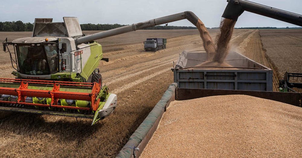 Россия принимает меры против провокаций на маршруте судна с зерном