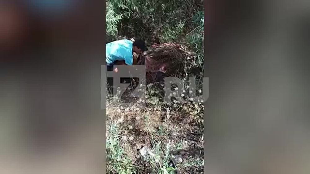 ���������� �������� ��������� ���� ������� ������������� ������ ���������� ������� �� ����������� ������ ��� ���