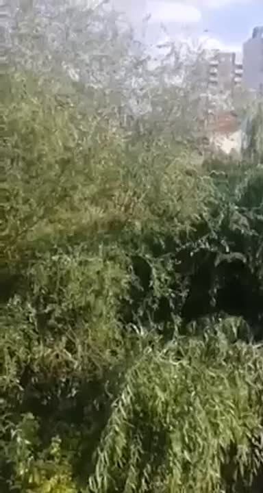 #������ ����������� ���� ����������� ������ � ������