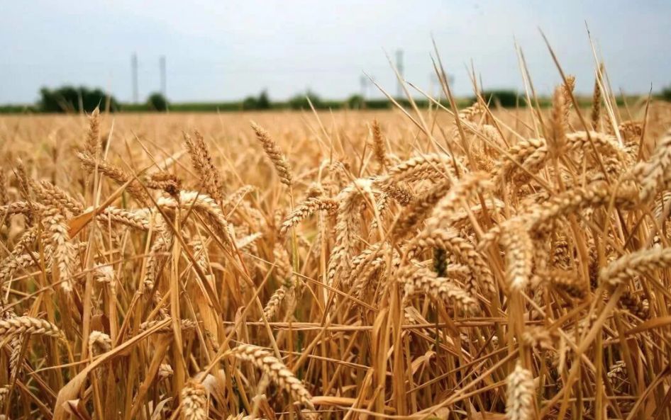 �������������� �������� �� ���������� ���������� �������� ����������������